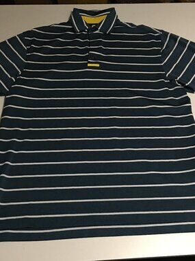 FJ Footjoy Mens Medium Golf Performance Polo Shirt Blue Striped